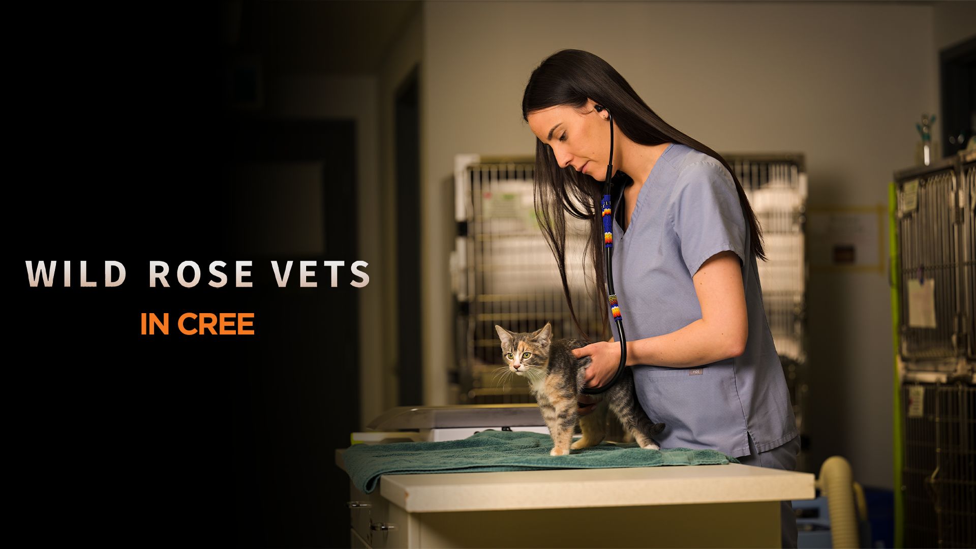  Wild Rose Vets